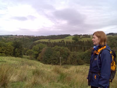 Gazing into the distance