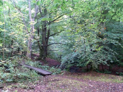 Newbiggin Wood?