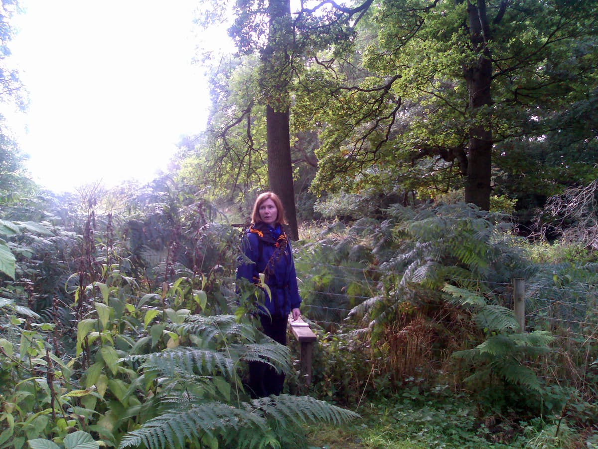 Though it looks like a jungle in fact it was, of course, a most English wood.  We had just seen a weasel flow across the field we were about to cross this style into.  'Flow' is the only word to use to describe the way a weasel moves, like a slinky but more so!