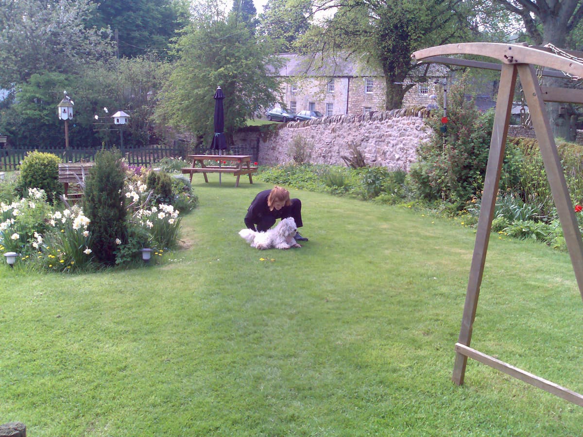 While we're waiting for lunch Pips has a chance to play with Dexter in the garden.  It's a lovely garden, a bit like ours, except they have white doves and two ducks at the bottom of their garden.