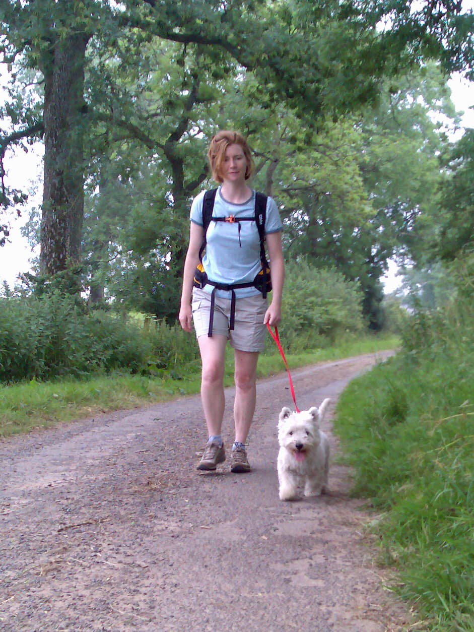 Pips, after assiduously watching The Dog Whisperer for months, keeps a relaxed lead, walks confidently, and Dexter strides out.  I'm not sure which of them is the happier.