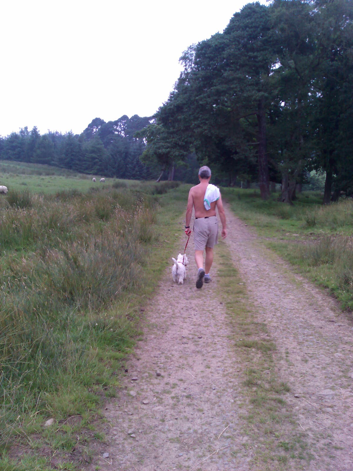 Pips has been setting such a cracking pace that I have to take off my T-Shirt, I get control of Dex and so slow the pace down.  <p>This is a photo of two pairs of swinging hips.