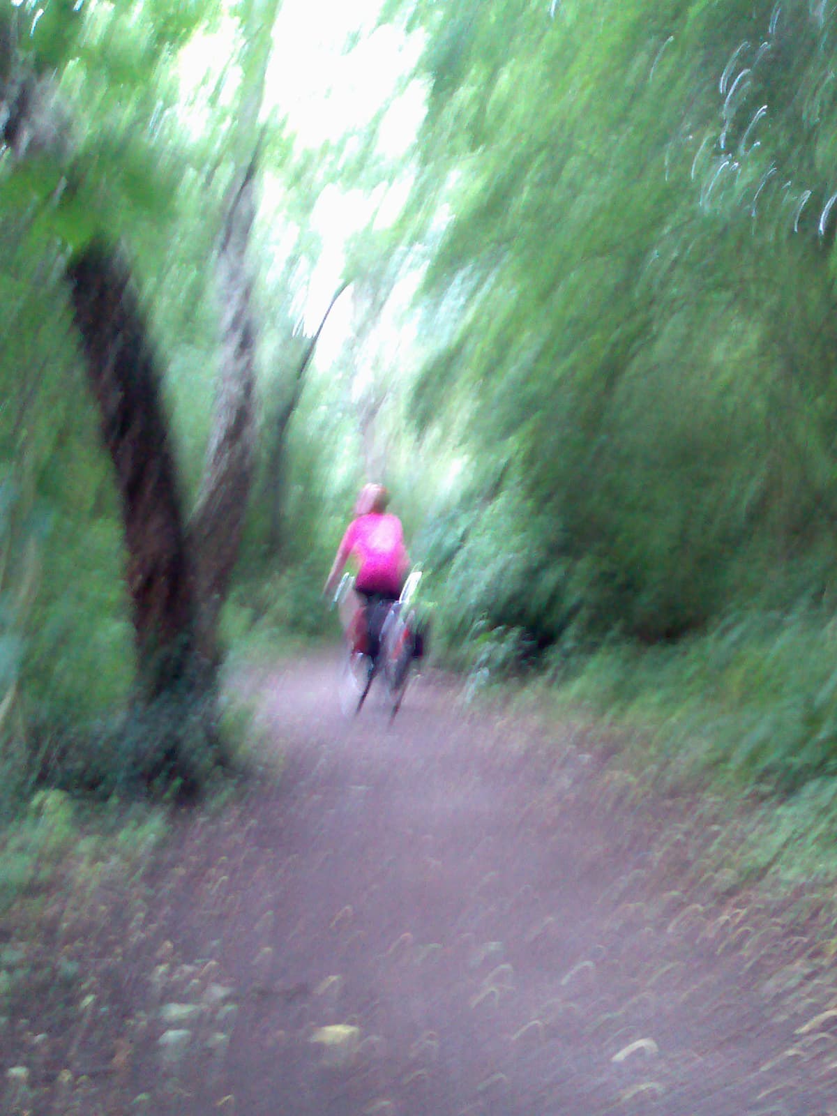 I tried a few photos whilst riding but they all came out blurry, this one though, in spite of that, I like.