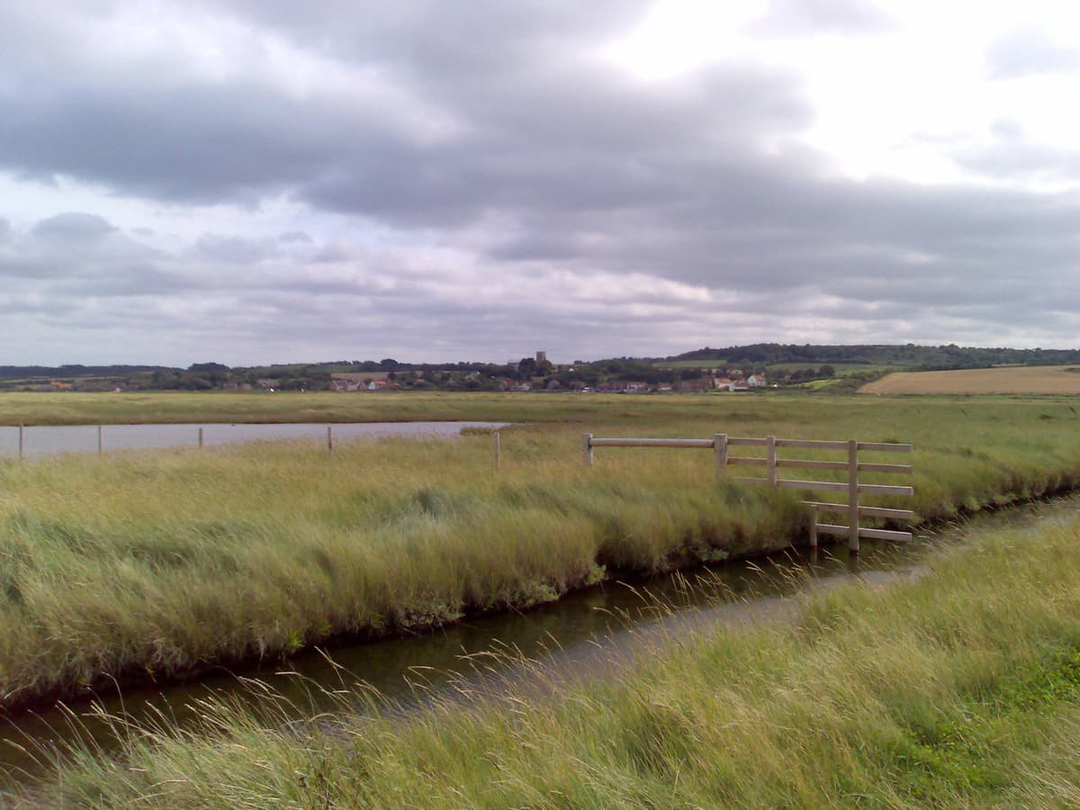 This shows the spacious emptiness of this part of Norfolk, oh, and a windmill in the distance which is why Pips wanted the photo.