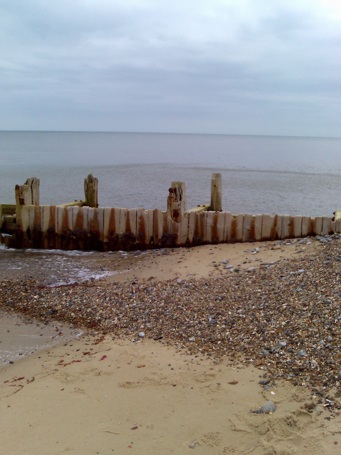 We saw the sea and we saw a couple of seals, though not the several hundred we'd been told we might see.