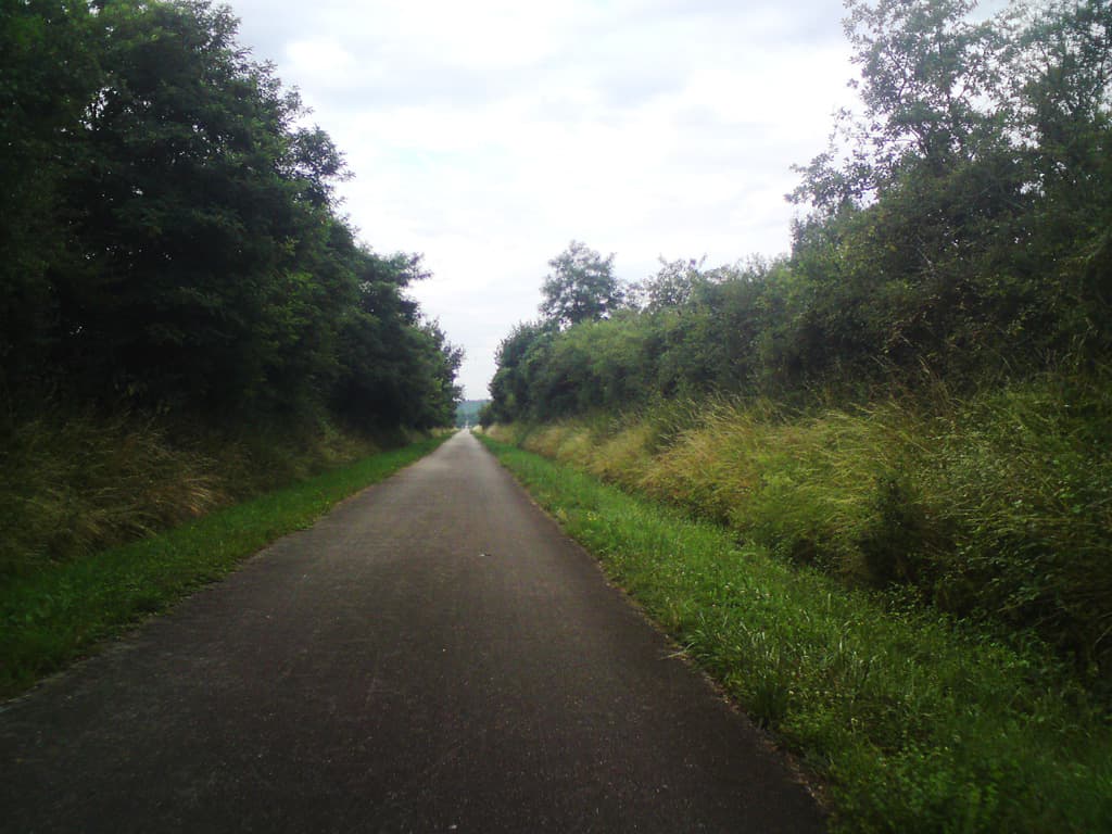Having cycled for a couple of hours I stopped for breakfast in Givry, my first bit of French, my first cafe au lait, and my first croissant.  When I came out I noticed a sign for a voie vert to Cluny and this was it!  A darn site better than our wagonway's in Newcastle.  It was about 50km, level or even slightly downhill, a joy. 