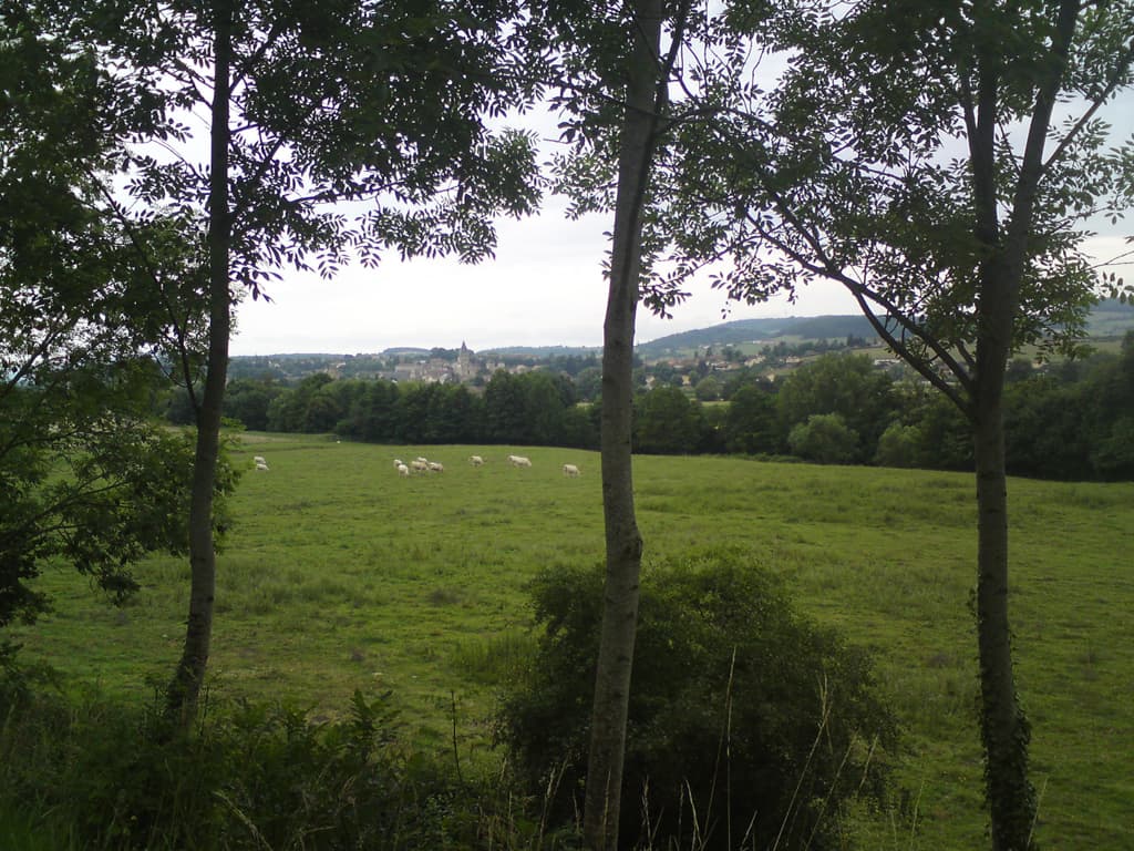 <p>This is Cluny, glimpsed through the trees, it was still only just before 10.00 in the morning but I didn't want to go any further.  Largely because from here I had to make a decision about which way to go next, down the Rhone valley, the flatter version, or westward and over the hills.  All of this because I was following a dutch guide book by Benjaminse.</p><p>Actually, while I'm on the point I can't recommend this book highly enough.  It somehow manages to choose the quietest tiny roads in France, with the least ascent and the most descent, through the prettiest parts.  It was great, I must buy part one that goes from Amsterdam to Beaune to do the whole thing next year.</p><p>In the end I decide to for the hillier version, not because I like hills but I do like the views.</p>