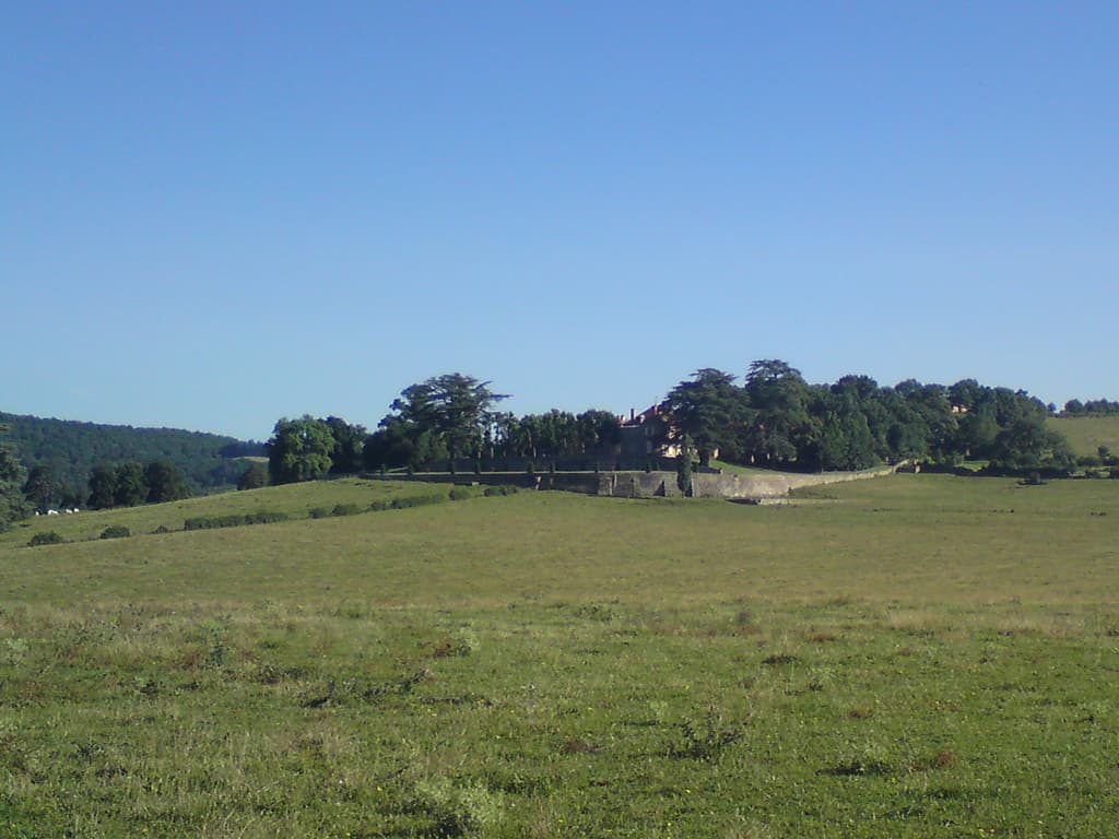 8.00am and a seriously beautiful pile with landscaped gardens and big trees.