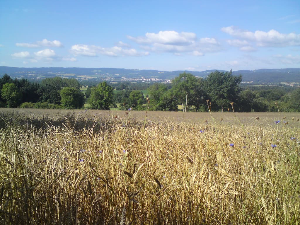 It was a lovely hour or so of riding.