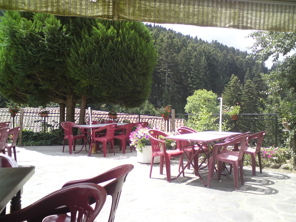 14.54pm  The climb from Dor&eacute; was steep and about 10km it was also rough tarmac and hot; I was so pleased when I arrived here.  A lovely restaurant at Bonneval.  I made it just as a coach party of about 20 women arrived.  They were lovely and we chatted for a while, they looking fresh and french, me dripping with sweat.<p>I sat outside on this terrace, with views over the valley and had some very nice food, accompanied, as ever, by a chilled ros&eacute;<p>The climb from here to the Chaise Dieu wasn't too bad, but the town, or at least the part I saw didn't merit stopping.  I pressed on to Sambadel Gare, again restaurants that were shut and no where to get food for dinner.