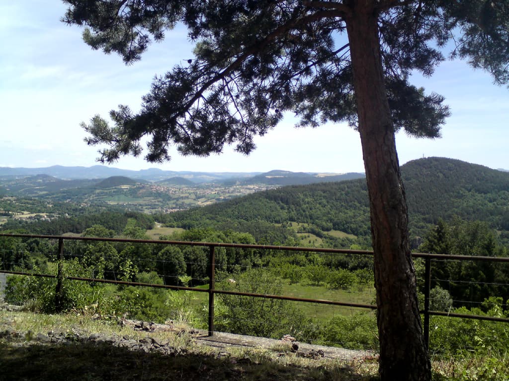 12.27, there were great, expansive views over the volcanic plain and suddenly the climate and the vegetation seemed to be changing.