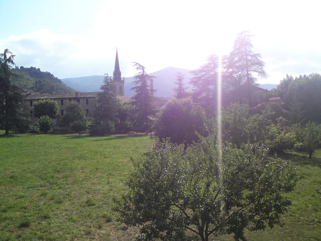 I got here about 10ish, had coffee and another pain aux amandes, the caf&eacute; owner didn't mind me eating one I'd bought, and I checked out the accommodation situation with a very friendly person in the Tourist Office, by now I was starting to get very chatty in French.  Today was the 13th July and tomorrow would be the major national f&ecirc;te in the French calendar, not a good day to travel everyone told me.  So, at long last, that rest day.<p>So, I booked into a small hotel with a pool, and decided to explore the town.  The hotel was nice, modern, though a bit lacking in character, but the owners were lovely, the rooms clean and not too expensive, and the swimming pool was a major plus.  It was surrounded by the plant of the trip too, fragrant oleander.<p>Les Vans itself was a nice little place.  Some slight artsy thing happening, nice little caf&eacute;s, bookshops and antique shops.  Oh and a lovely restaurant that you really must try: La Feuille du Chou - the cabbage leaf.  I ate there twice, and it would have been three times but they were full the first evening;  I had lunch there on the 14th and returned for dinner that same night it was so good.  See the next photo for a picture.<p>Rollover this photo to see a more sunny photo of a different part of town, and click to see a third scene. 