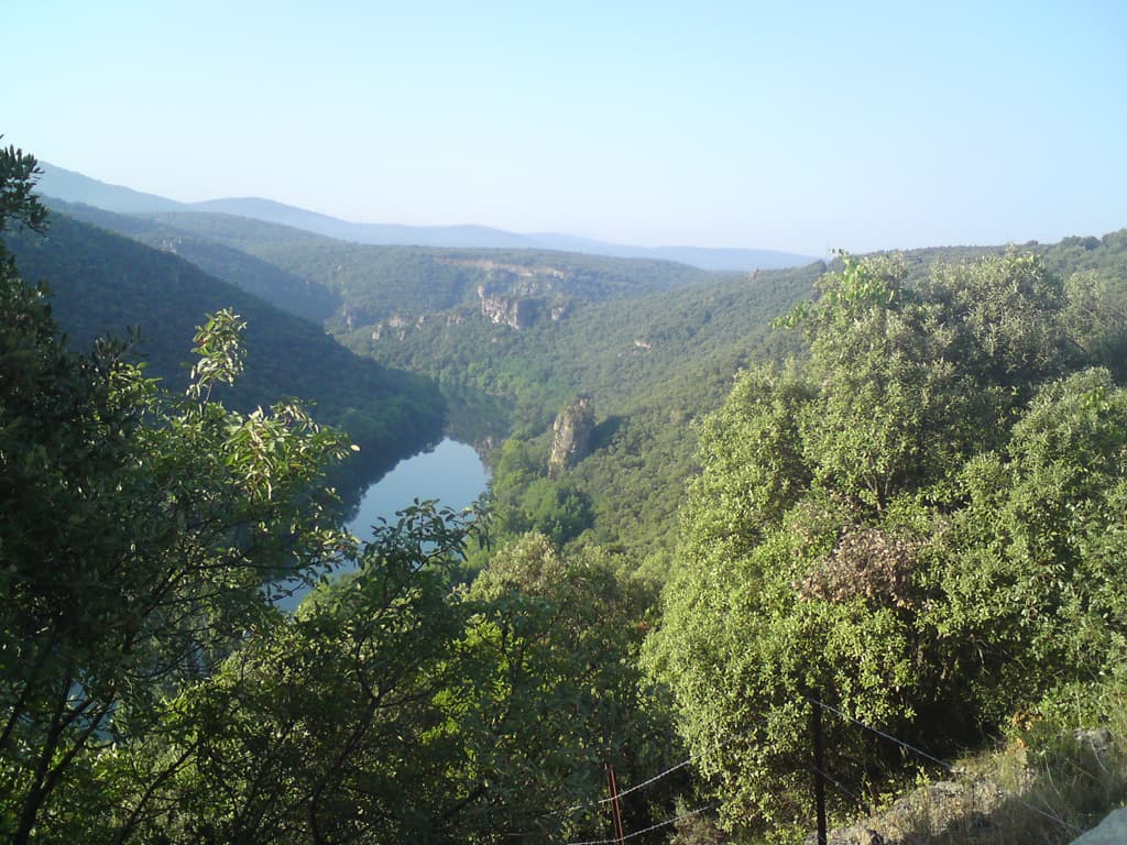 The river below was very pretty, it was peppered with canoing stops and places to camp and paddle, not that I cared, I was sweating upwards, waving to what might have been the same kite/eagle that I'd been seeing for some day's now.