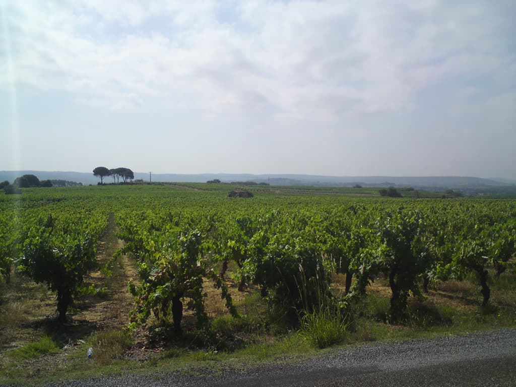 It was flat, which was something, but it was getting hotter and in this part of the ride I had to cross underneath and around a couple of large roads one of which was a motorway, the A75.  I had run out of water and I was starting to melt, if I stopped I felt a bit dizzy, the answer of course was not to stop ;-)