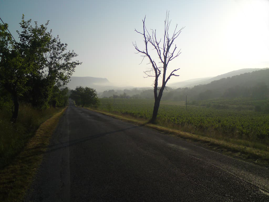 As you can see these are mean streets, a little while ago I had to swerve to avoid a beetle.  The insect, not the car.