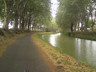 Tree lined canals
