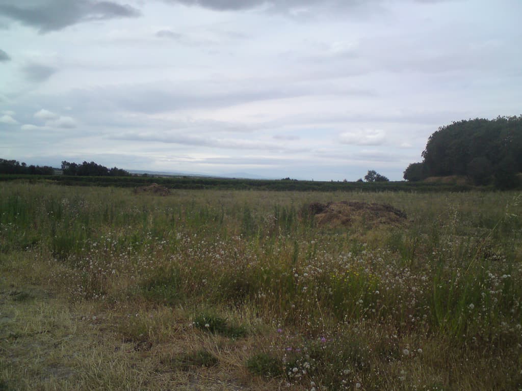 10.45am  Having left the canal I suddenly am hitting a headwind, and the landscape is flat with little lanes with no signs.  I'd met a woman on her upright hybrid who was peddling very slowly to visit her friend and she put on the right road.  More than once.  In fact about 4 times, it was like a variant of the hare and the tortoise, I'd pedal off, much more quickly than her but at some point, lost, or waiting to ask directions she'd come floating up again.  The last time I saw her she joined in directions being given to my be a goth leather-clad quadbike rider.  Thank you both for your help.