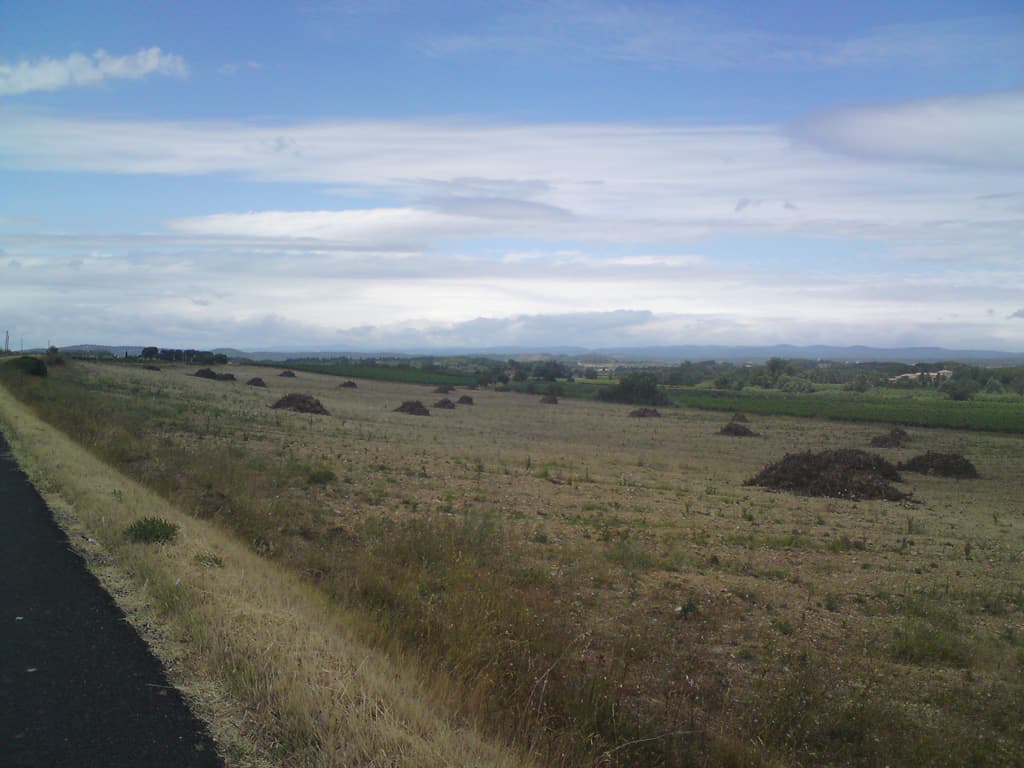 12.38am, flat and windy, at times I would turn at right angles to the wind and my speed would pick up 10km/hr - but aren't those the pyrenees in the distance?  I think they are, yoohoo.