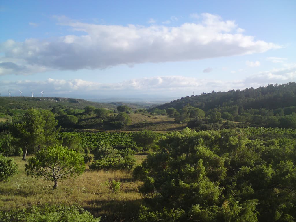 7.30am  As I was climbing the hill with the dog I looked back towards Nevian where I'd climbed up from.