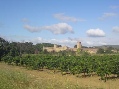Chateau de Gaussan