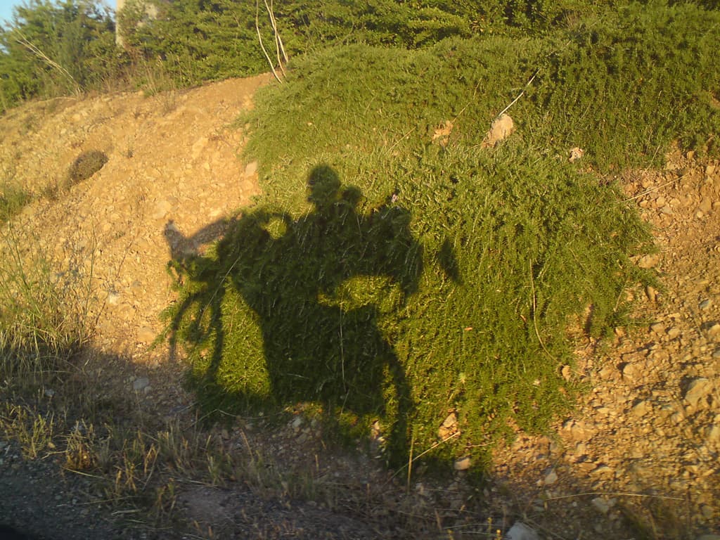 5.52am  It was, and, as it alway's is early in the morning, there was a crisp, clean light, low in the sky, which cast long shadows.  Here's my shadow against a low earth bank.