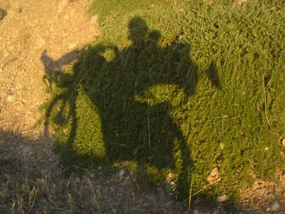 A reflection of his former self