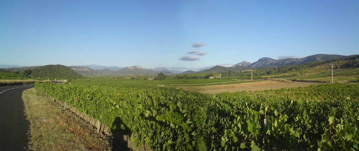 6.43am I'd just had one of those great descents over great, smooth, black tarmac - with just the right number of curves.  I swear at one point the two large limos that were going in the other direction had a couple of Tour de France riders in being taken to the next stage - so if you read in the future of some top flight cyclists making the change to recumbents it won't surprise me a bit.  It was fantastic.<p>If you click on this photo you'll see a panoramic view of the valley floor as it stretched away from me. 