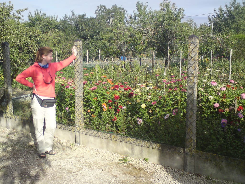 The following morning, having discovered there was a local market in town we decided to stay an extra day, and so we strolled in along the river &mdash;this was one of many potager gardens along the way.
