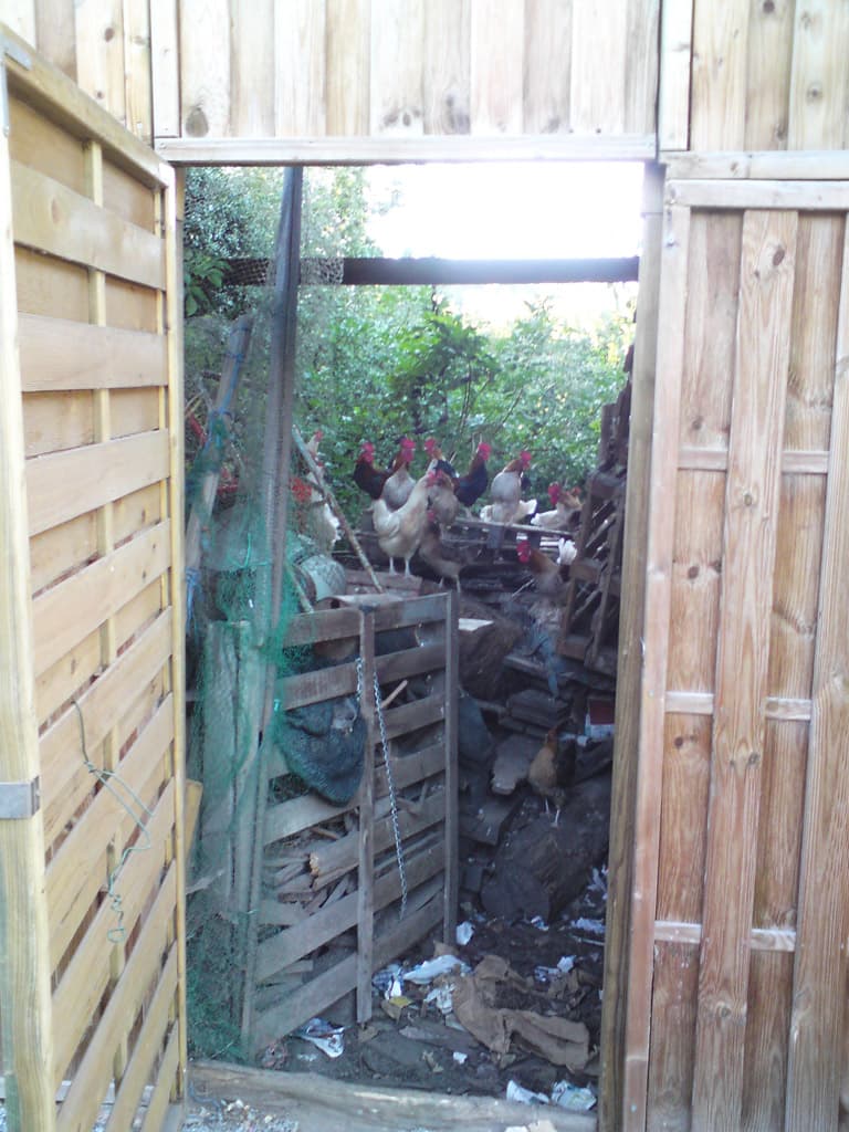 I shouldn't say it but Ambazac was not the nicest of places we'd stayed.  It was a bit sad somehow, nothing particularly pretty and a little lacking in atmosphere.  The main thing of note we spotted, just up from Carrefour, was the big notice telling us of the recovering of the carpark that'd just been finished.  Having been finished there wasn't even this to look forward to.<p>But the people were lovely - everyone we met was nice to us, and the hotel, though a little old-fashioned in the decor, did very good food.<p>Walking down the main street, still high from seeing the newly tarmacked car-park, we passed a house where all the flowers in the window were dead and the back gate to the 'garden' was open... and offered this view.<p>The next morning we drove just 20 minutes to the next town, Bessines, which was a delight, several patisserie, nice bars, a little town square where they were setting up a market and from where we bought some fagot - like little dried sausages, like spanish fuet.