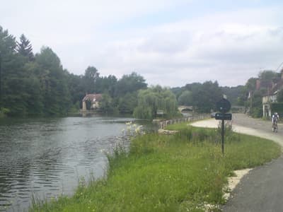 Weeping Willows & Lazy Rivers