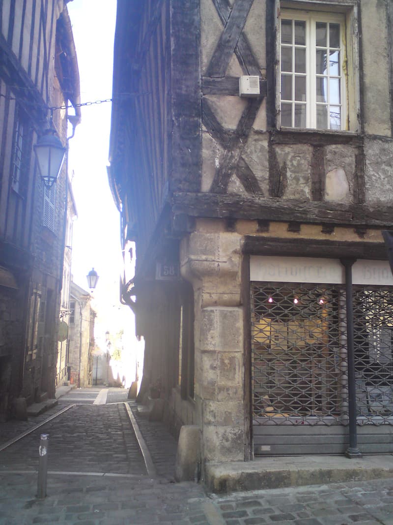 <p>The town itself was, like many French towns, very pretty.&nbsp; The usual fantastic municipal flower planting and a number of half-timbered buildings with cobbled streets.</p>