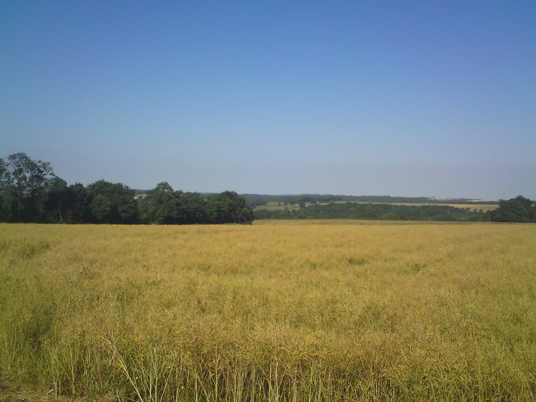 <p>The Nivernais is lovely to ride, perhaps even nicer than the Canal Entre Deux Mers, that I'd follow later, it was more open and definitely had more wildlife.&nbsp; The country'side around it was quite varied too, sometimes quite hilly and at other times flatter
 with wide, expansive views.</p>
