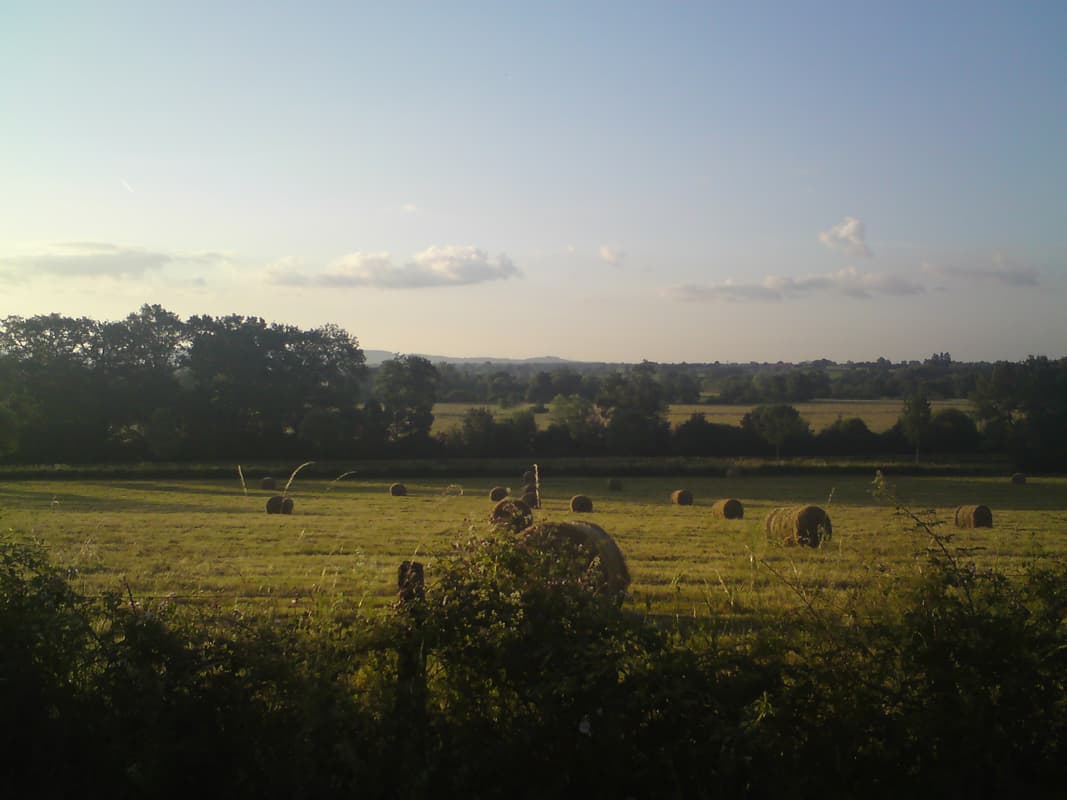 <p><em>6th July.&nbsp;&nbsp; 76km, avg 15.6km/hr, max 43.4km/hr</em></p><p>Rollover this image to see where I started from.</p><p>My cycle computer said 4.5 hours of riding but it took about 10 hours, god knows how it thinks I stopped for over 5 hours on the way!</p><p>It was another wildlife day, more heron than I could count, some very large birds of prey, buzzards perhaps, and a couple of coypu (like small beaver).</p><p>I managed to find a town
 with food next to the canal today, Ceray de la Tour I think it was, the most fantastic flan slices which I wolfed down.</p>