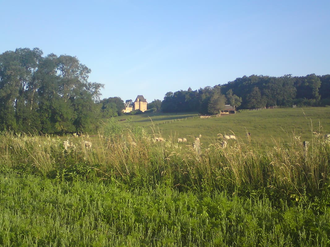 <p>My goodness, people live here, people live in all the chateaux in fact.&nbsp;</p>