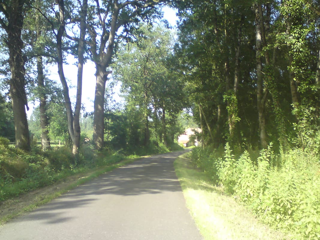 <p>Whilst some of the road was flat, which is what I was hoping for since it followed a river, a lot of it went up and down.&nbsp; Up and down quite a lot at times.&nbsp; The climb up to Loudon was endless for instance.&nbsp; Perhaps just me being a wimp, but
 with the heat, I was just in my lowest gear doing 4.5km/hr for what seemed like an age.</p><p>Though that's probably unfair, because, whilst it was hilly, it was mainly just great, I filmed various video bits in which I'm just rambling on about how fantastically pretty it all was.</p>