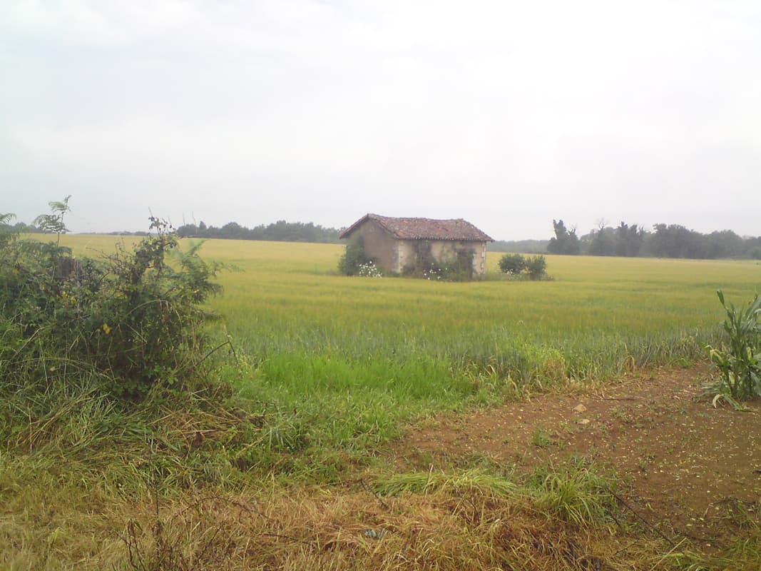 <p><em>12th July, 106km, avg 14.1km/hr, max 57km/hr, 7.5 hrs</em></p><p>This is the map, a repeated link from the list on page one, of this section of the ride.&nbsp; There's a bit of a gap, two in fact, between Saint Germain de Montbron &amp; Villebois Lavalette, and then a much smaller one before Gurat.</p>rn<ul>rn<li><a href="images/27/4%20Availles%20towards%20Angouleme.pdf">Availles towards Angouleme</a> (4.5MB)</li>rn</ul>rn<p>I started off and it was raining slightly, which was lovely, it's nice starting early since it's cool and it's as though you've got the world to yourself.&nbsp; The country'side was green and lush and hilly, though not too hilly, at least as yet.</p>