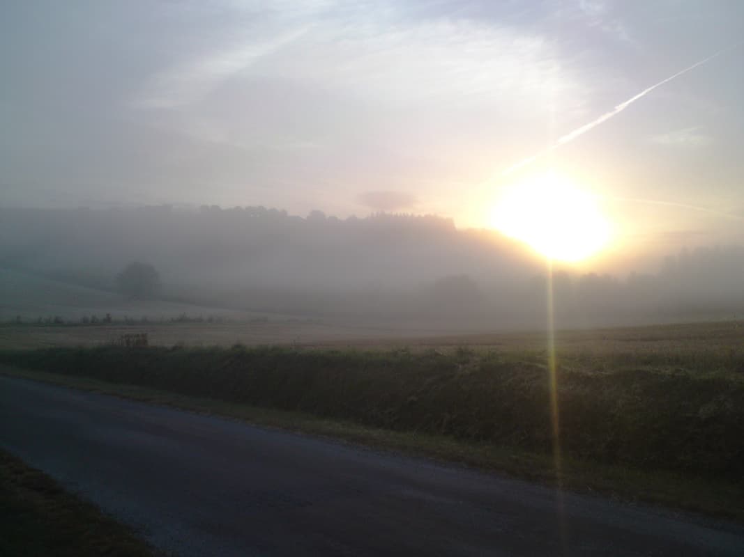 <p><em>13th July, 67km, avg 14.7km/hr, max 49.3km/hr, 4:34 hrs</em></p><p>Click to see the map of this section</p>rn<ul>rn<li><a href="images/27/5%20Angouleme%20south.pdf">Angoul&ecirc;me south</a> (3.2MB)</li>rn</ul>rn<p>I had an early start, this first photo, taken as I rolled out of the campsite gates, is timed at 5:59am.&nbsp; It's not a particularly good photo, taken against the sun with my phone, but it was so beautiful I had to try.&nbsp; Golden sunlight shafting through a break on the ridge opposite, silhouetting the trees and just starting to light up the sunflowers.&nbsp; Mist still lingering.</p>