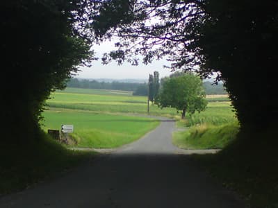 Small country lanes