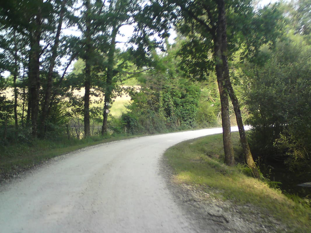 <p>This little hard packed gravel lane was the start to the day, very nice and peaceful.&nbsp; Unfortunately, at the end of this lane I turned left instead of right, passing what might be called Sallegourd.&nbsp; No problem in terms of wayfinding at all but a big problem in terms of dogs, I'll explain.</p><p>As I was just starting a shallow descent a large doberman pinscher ran out of a farm driveway, barked a few times and then ran off.&nbsp; Luckily I'd seen a dog exhibit that sort of behaviour before.&nbsp; He was actually going to get his bigger and more savage friend.&nbsp; So I started to pedal as fast as I could.</p><p>I was doing about 28km/hr when I passed the driveway and the biggest, blackest, hairiest beast I've ever seen came charging out after me, snarling and drooling.&nbsp; He was gaining on me and was about level with my elbow, by this time I was going about 30km/hr.&nbsp;</p><p>The dog was too.&nbsp; And trying to bite.</p><p>It wasn't until I got to about 35km/hr that I slowly started to outdistance the beast although he carried on chasing me for some 50 metres before he gave up.</p><p>Now for some dogs it's just the bike that freaks them out and if I stop and dismount they calm down, but, in this case, I didn't think that was a good plan.&nbsp; Thank goodness I had a rolling head start.</p>