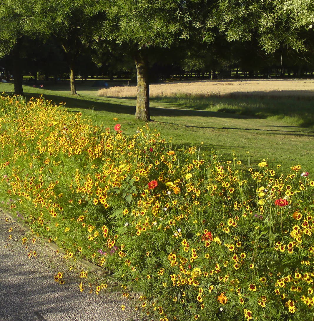 <p>Whilst I didn't get to talk to the houseboat owner I did get to have a long talk to a couple sitting on a bench just next to these flowers.&nbsp; I'd asked them what the french for 'bee' was and it prompted a half an hour of conversation, taking in the French Language, flowers, bikes, and travel.&nbsp; It turned out the woman was a french language teacher and could explain the reason for lots of things that had been puzzling me about verbs, conjugation and pronunciation.&nbsp; I suggested she come with me as cycling language consultant.</p>
