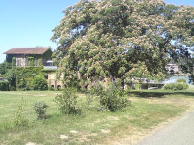Campsite, Moissac