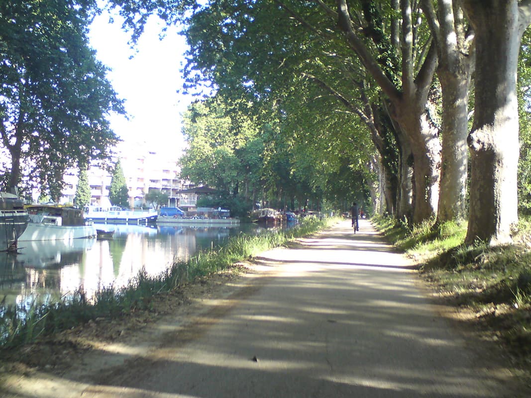 <p><em>20th July.&nbsp; 88km, avg 17.5km/hr, max 33.7km/hr.</em></p><p>And so the return towards Agen from whence I would take the bus to England on the 25th.&nbsp; I planned on stopping at Moissac again, the same as I had on the way down.&nbsp; Especially now as I'd bought some swimming trunks in the sales at Toulouse and it meant I could use the very inviting swimming pool at the campsite.</p><p>This photo, by the way, is a sort of marina just to the south of Toulouse.</p>