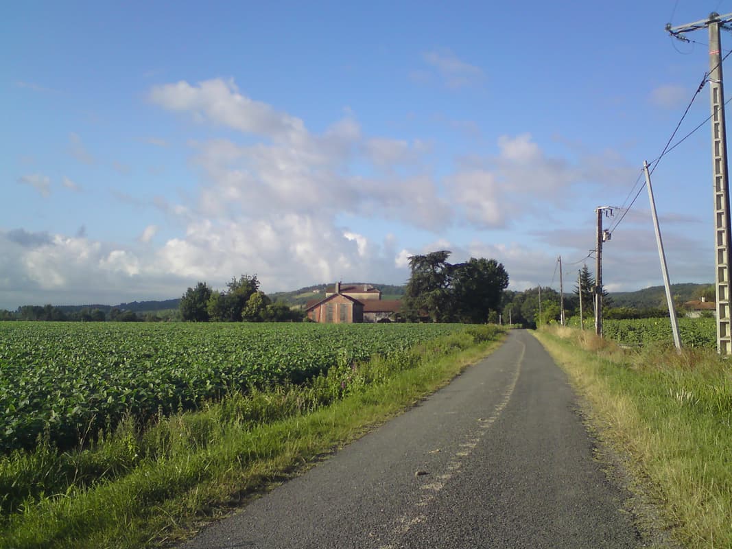 <p><em>23rd July.&nbsp; 69km, avg 14.2km/hr, max 40.8km/hr</em></p><p>I decided to have a ride into Agen, both to explore the town a little, since I'd ridden straight past both when going south and when returning north, but also to find exactly where the coach left from on Sunday so I'd know how to get there and not be in any rush.</p><p>It was a sunny morning, the previous day's rain having passed, and a nice run.&nbsp; With no panniers and baggage and no rush it was a good ride.</p>
