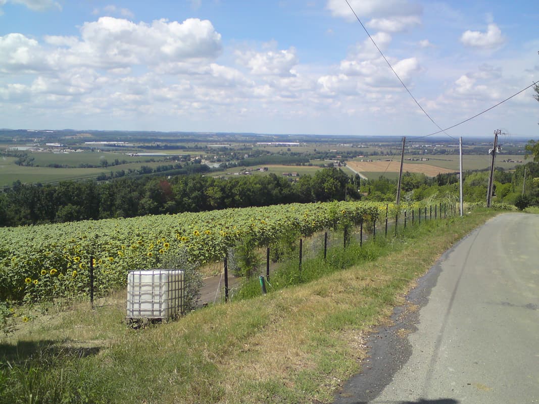 <p>I decided to stay north of the Garonne and get back to Port Saint Marie via the hills above the Garonne Valley.&nbsp; Once again they were very, very steep and I ended up having to push for the second time.&nbsp; I could at least see more this time, no rain, just a smattering of clouds.</p><p>Once the climb was over though it was very nice long ridge ride and then a big descent into town.&nbsp; Along the ridge I met a guy on his mobility scooter tootling along.&nbsp; It turned out he'd had a motorcycle accident and had lost the use of his legs, he was slightly speech impaired too but marginally so, and he was very good fun to talk to.&nbsp; He'd read similar books and said goodbye with 'see you later aligator' to which, naturally enough, I replied, 'in a while crocodile'.</p>