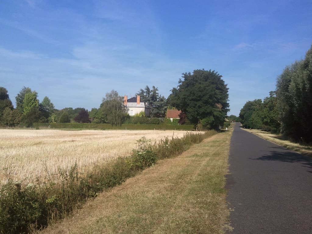 <p>At L&eacute;r&eacute;, just after Belleville-sur-Loire, I turned off the D951 to follow signs for the Loire cycleway and once again I was on tiny quiet french back roads. &nbsp;</p><p>This is the joy of cycling in France, that you can put together a long itinerary using only minor roads. &nbsp;Yet french minor roads are wonderful, not the rutted, potholed things that we seem to take for granted in England. &nbsp;</p><p>Then there are the drivers, again, by comparison to what I'm used to, they're fantastic, at least with regards to cyclists, they don't get impatient if they can't immediately overtake, and when they do overtake they do so giving me lots of room.</p>