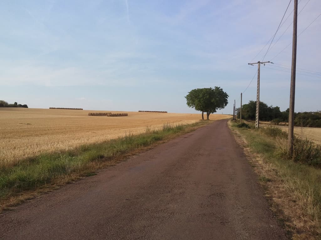 <p><strong>Tuesday 12th July. &nbsp;La Charit&eacute; to Le Veurdre: 63km, avg 14.5km/hr, max 55.4km/hr</strong></p><p>Up at quarter to 6 and ready to go by 6.20 but I can't find the bike lock key! &nbsp;Don't panic. &nbsp;I unpacked everything. &nbsp;I searched. &nbsp;I searched again, EVERYTHING. &nbsp;No key. &nbsp;Searched again, no key. &nbsp;OK, so find a locksmith, serrurier in french, impossible to bloody pronounce with all those 'r's, I sounded like I had a speech defect. &nbsp;Since there was no one at reception until 8.00 I thought I'd walk into town in case I'd dropped the key or I came across someone I could ask about a serrurier.</p><p>I couldn't believe I'd lost it, I am so scrupulous about the ritual of alway's putting things back in their place. &nbsp;So, idly walking back to the campsite, I looked again in my bumbag, just in case, and there it was, tucked up a corner. &nbsp;I now keep it with my passport since it's as important. &nbsp;A locked bike doesn't peddle very well.</p><p>So, a late start but thankfully much cooler, also noticeably more hilly, though it was good to going slowly enough to smell the flowers.</p>