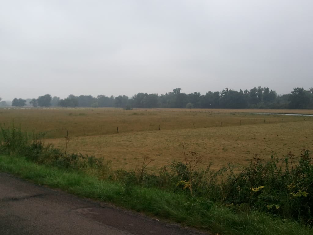 <p><strong>Wed 13th July. Le Veurdre to St Pour&ccedil;ain: 71km, avg 13.8km/hr, max 52.6km/hr, 5hrs riding 11hrs time.</strong></p><p>After the heavy rain in the night I ferried stuff to the covered play area to pack up, no one else on the site. Got going late because of the rain though, 8.45am.</p><p>One of many unsuccessful attempts to photograph birds. &nbsp;That small white dot just in the treeline a third in from the right is a heron. &nbsp;Magnificent in real life. &nbsp;A small white smudge in my photo.</p><p>The first bird passed overhead, easy to see when you're lying back on a recumbent and I wondered whether I was going to be able to get the phone out from my zipped pocket, turn it on, start the camera, say "OK" to the warning it would alway's give about incurring roaming charges, before the bird flew off. &nbsp;I decided I couldn't. &nbsp;Then a flock of eight flew overhead and I cursed not having started, so I did. &nbsp;Sure enough by the time I'd gone through the above rigmarole I was left with the small white smudge you now see. &nbsp;Somewhat. &nbsp;If you look closely.</p><p>As you can see the sky is grey and the light drizzle quickly changed to rain, persistent and then heavy. &nbsp;So, upper body largely dry, other than sweat, and lower body utterly soaked and legs cold. &nbsp;Better to wear shorts though and keep warmer long trousers for later. &nbsp;It was also hilly again with some long bottom gear ascents. &nbsp;Odd how struggling up long, steep hills in pouring rain can be fun.</p>