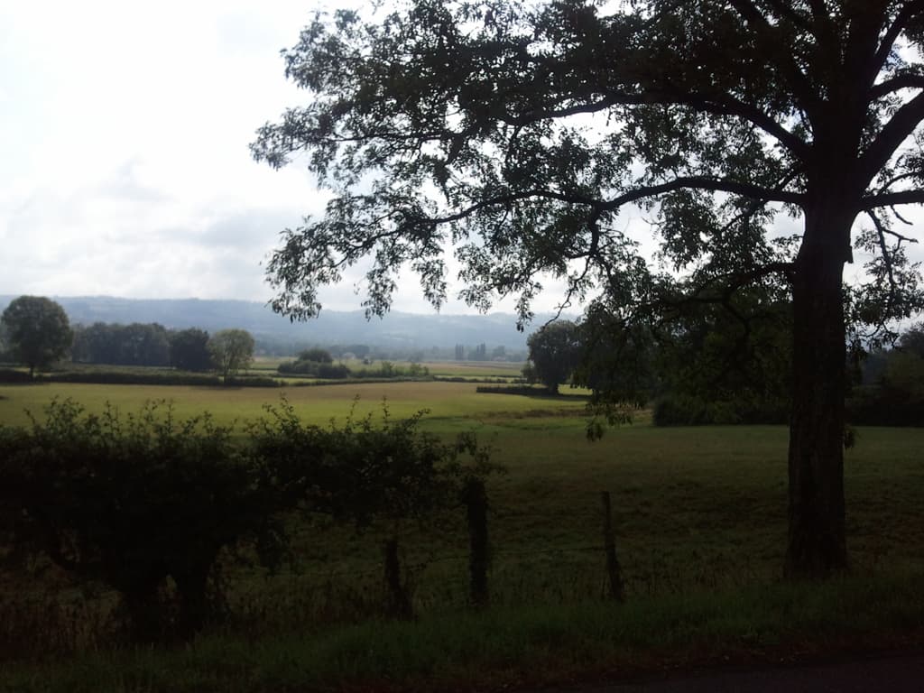 <p>The D6 into Vichy was a little busy for the last 10km but not too bad. &nbsp;As I've said before most drivers are very good, giving me lots of room. &nbsp;There are some unfortunate pinch points on some roads in towns, small raised sections in the centre of the road, especially as you approach a junction or roundabout. &nbsp;they're normally about 50m long though sometimes there are several strung together. &nbsp;they're almost wide enough for a car to squeeze by though most don't try but occasionally you have to take the centre of the lane to stop the more impatient or more homicidal from trying.</p><p>This photo is of some quite field on the D55/59 where I decided I needed to eat. &nbsp;Being the 14th everywhere was shut, so no food. &nbsp;I had half a baguette, 1 banana, 2 nectarines, 6 choc-chip cookies and a jar of honey and I ate the lot though not quite all the honey. &nbsp;It was a peaceful little spot and it was nice to be off the bike and in silence for 20 minutes.</p>