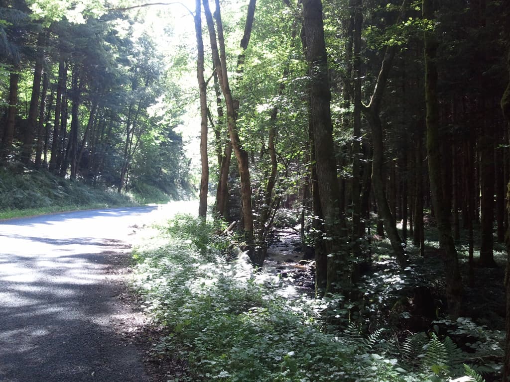 <p>I'd stopped at Sauxillange and bought some more fruit and four little pots of semolina, my new favourite snackette but then began the first long climb of the day. &nbsp;It was going to be up to 1050m to get to St Germain-l'Herm and the tarmac was the thick sticky stuff where even on the very few short downhill sections you had to peddle.</p><p>It was also the area where there were a lot of cyclists on holiday to do the Etape du Tour, all of whom came barrelling past me on their super-light carbon steeds. &nbsp;I was thinking of trying to persuade one of them that the best training is resistance against a weight and I was willing, for their greater good, to let them push me up this neverending damn hill. &nbsp;Trouble was they were going by too fast for me to successfully sell the idea.</p>