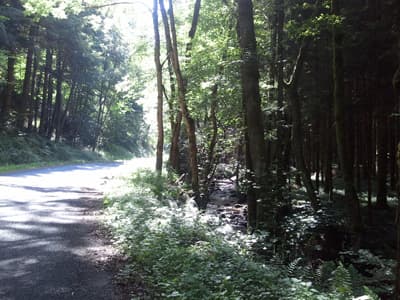 Bad tarmac and long climbs